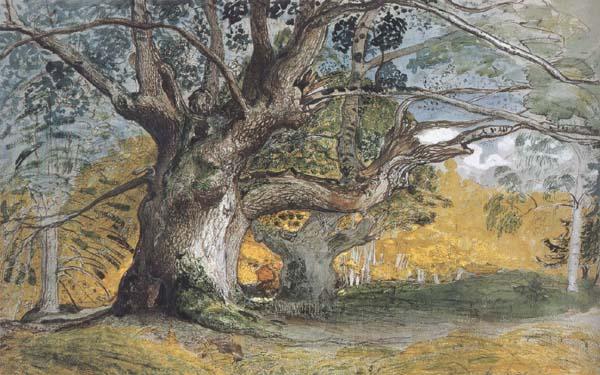 Samuel Palmer Oak Trees,Lullingstone Park